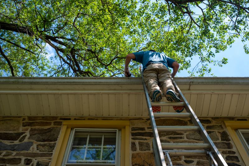 Ladder Safety for Gutter Cleaning